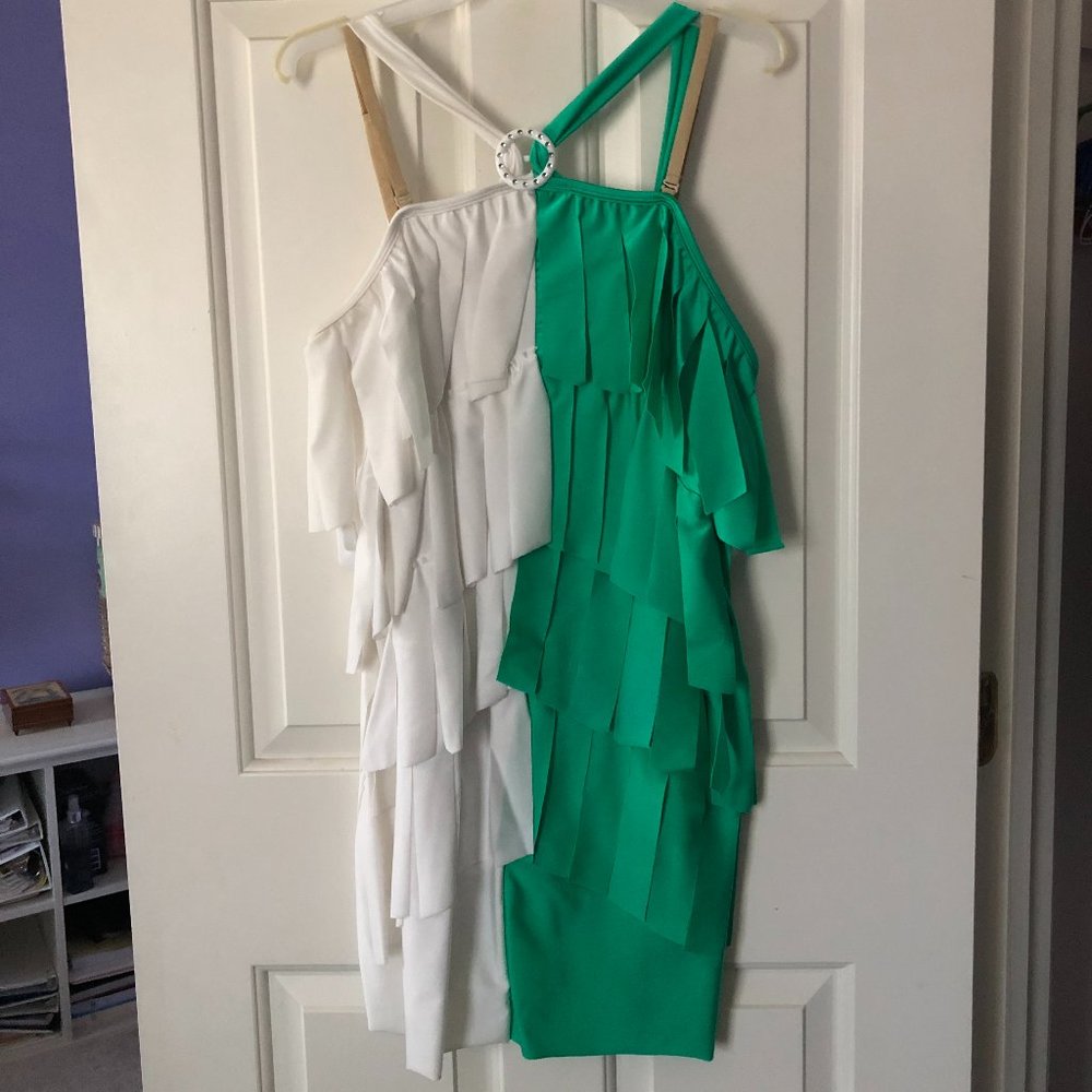 Cute Dance Flapper Costume - Perfect Condition